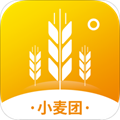 小麦团安卓版