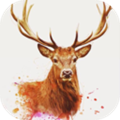 走进艺术正版 v2.2.8