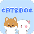 铲屎官翻译器app