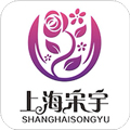 宋宇花城直装版 V3.3.2