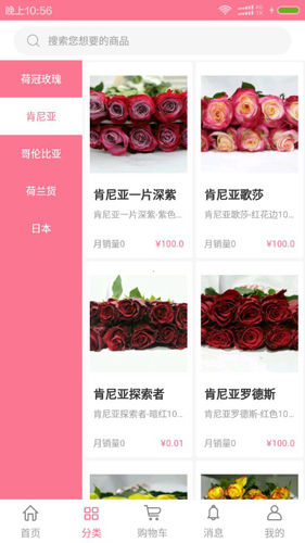 宋宇花城直装版图1
