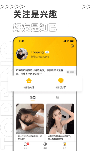 Topping通用版图3