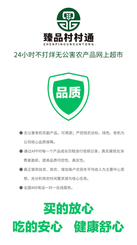 臻品村村通最新免费版图1