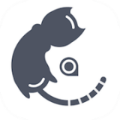 喵时钟手机版 V4.0.0
