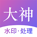 大神水印官方正版 V2.7.8