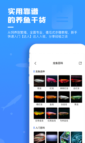 鲲天下手机版图2