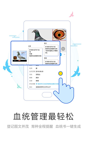 爱鸽者图1