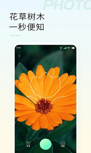 智能拍照识物官方正版图4