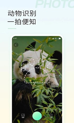 智能拍照识物官方正版图2