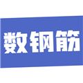 数钢筋手机免费版 V4.0.16