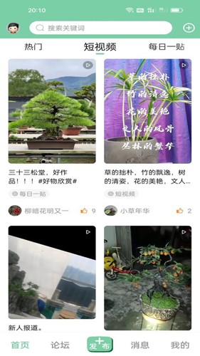 千盆网最新版图2