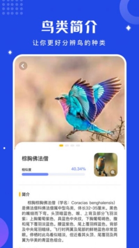 鸟语语言翻译器原版图1