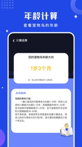 鸟语语言翻译器原版图4
