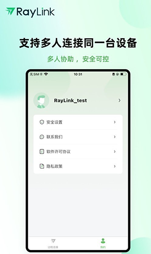 RayLink官方正版图1