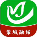 今日蒙城官方正版 V2.1.9