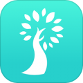 小树同学 V2.5.6