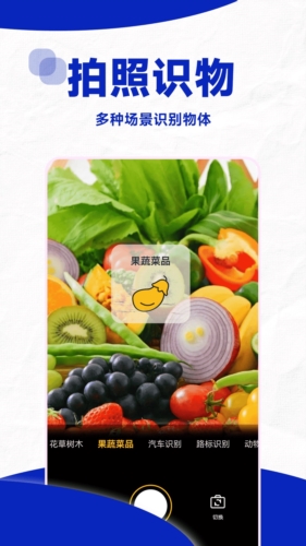 口算帮手机免费版图3