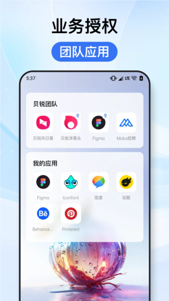 贝锐洋葱头APP