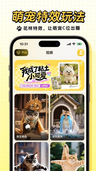 宠玩官方版图3