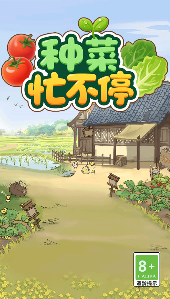 种菜忙不停