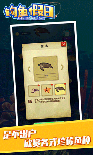 钓鱼假日(2)