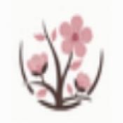 桃园酒肆直装版
