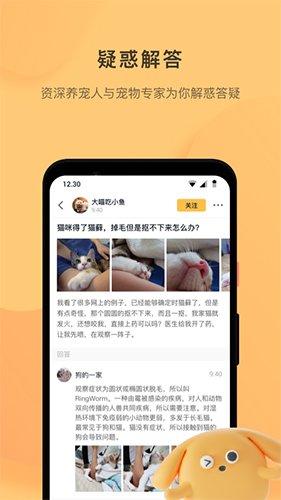 宠明无广告版图1