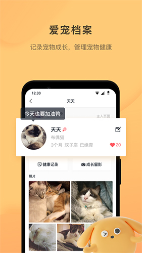 宠明无广告版图2