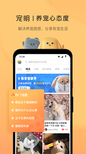 宠明无广告版图4