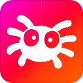 蜘蛛网旅行app