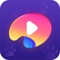 涂鸦手绘视频正版 V2.1