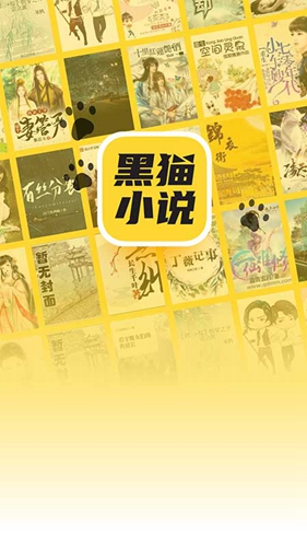 黑猫小说app图1