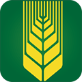 知谷APP