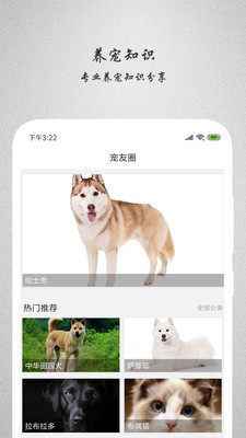 宠友帮app