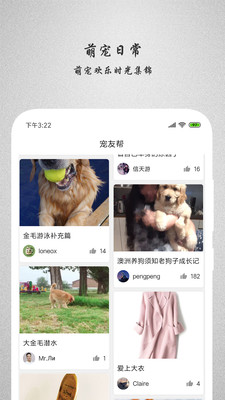 宠友帮app