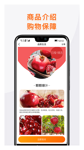 神农农品app(3)