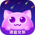 笨笨官方最新版 V1.5.8