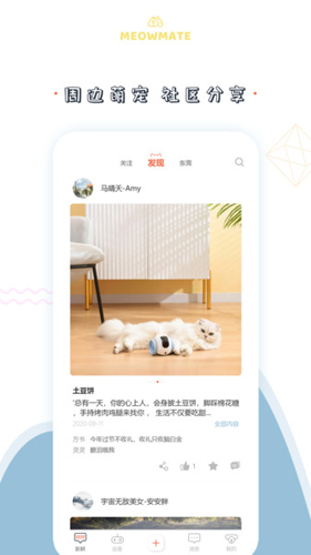 MeowMateapp(3)