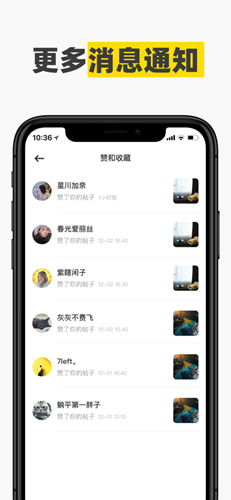 躺平社区无广告版图4