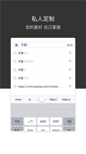 绿叶浏览器最新版图4