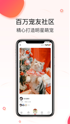 相宠安卓免费版图2