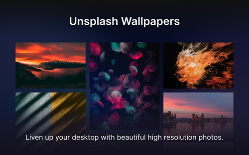 Unsplash官方app图1
