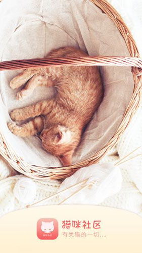 猫咪社区免费APP(2)