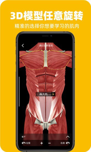 3Dfitapp(1)