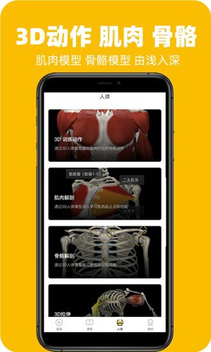 3Dfitapp(3)