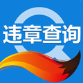 搜狐违章查询手机最新版 v8.5.2