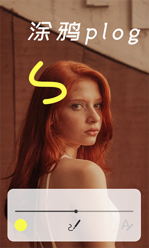 voila app