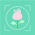 行色识花手机最新版 v2.1.18