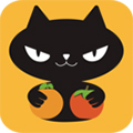 橙柿猫免费版 V1.0.0