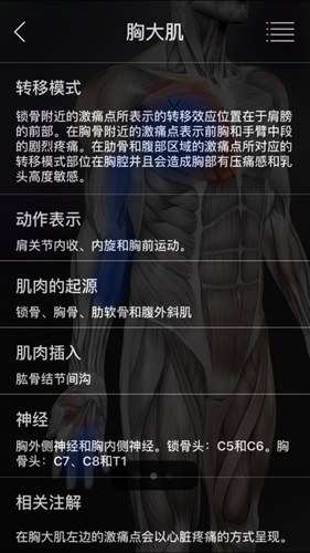 肌肉激痛点安卓中文版(3)